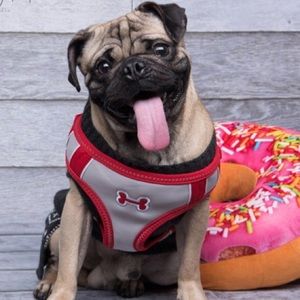 Meet your Posher, Flora